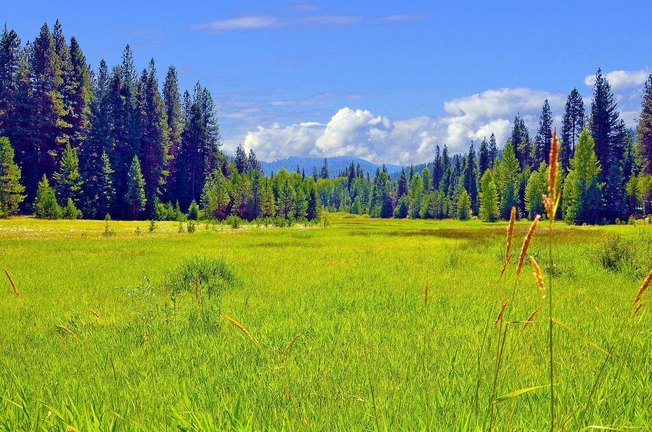 Leavenworth Camping Resort Tiny House Belle Εξωτερικό φωτογραφία